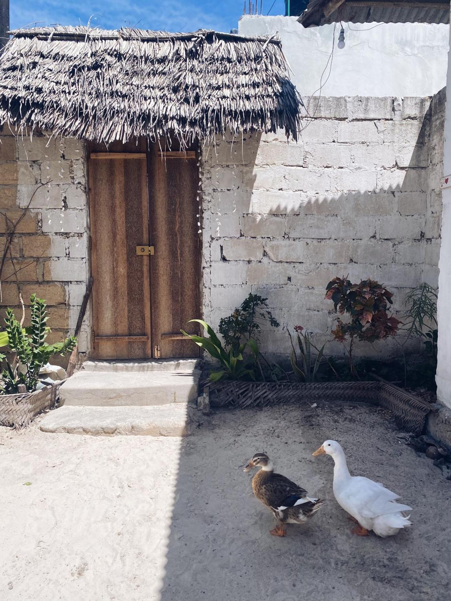 Malaika House Paje Bed & Breakfast Exterior photo